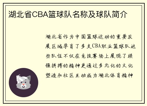 湖北省CBA篮球队名称及球队简介